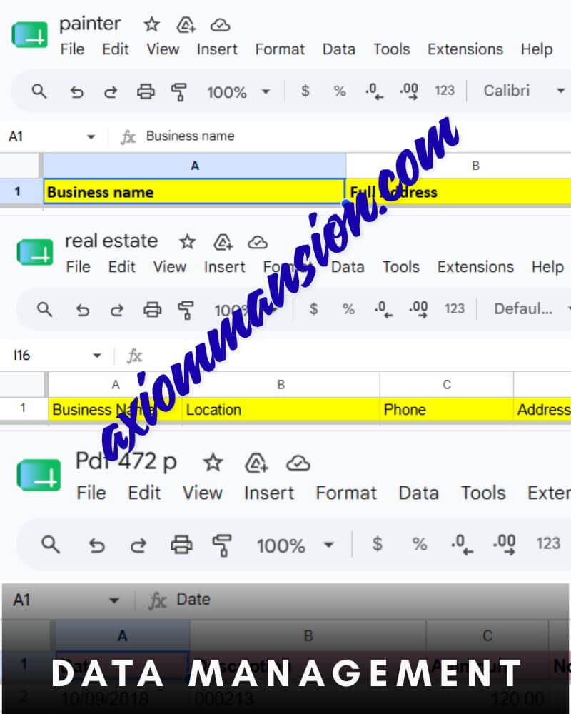 Data Management, Real Estate Logging, and Spreadsheet Formatting - Axiom Mansion